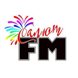 Салют FM logo