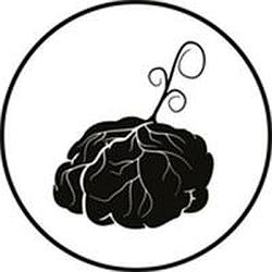 Brainflowermedia radio logo