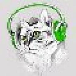 Кот рекомендует radio logo