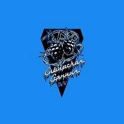 Сибирская Станция radio logo