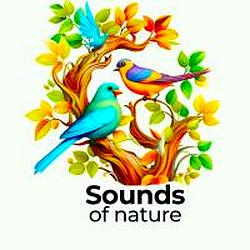 Звуки природы - Nature radio logo
