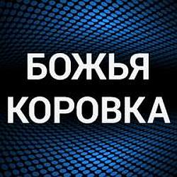 Божья коровка radio logo