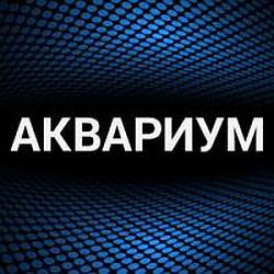 Аквариум radio logo