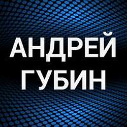 Андрей Губин radio logo