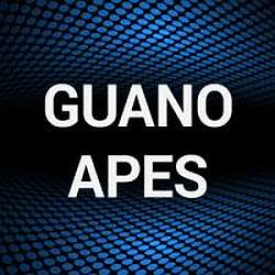 Guano Apes radio logo