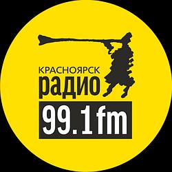 Радио 99.1 FM logo