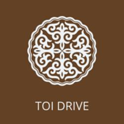 Toi Drive Darhan Radio logo