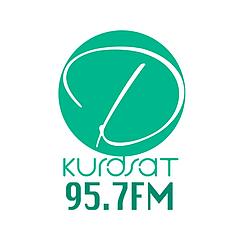 Dengi Kurdsat 95.7 FM logo