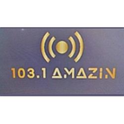 103.1 Amazin radio logo