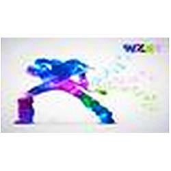 WZST radio logo