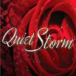 Quiet Storm 95.7 radio logo