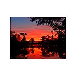 Bayou Country radio logo