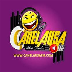 Radio Canela Usa Fm logo