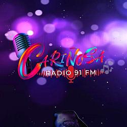 Cariñosa 91 FM Radio logo