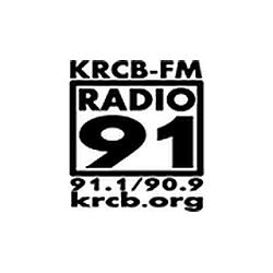 Radio 91 logo