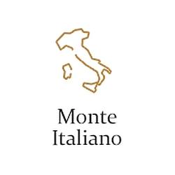 Monte Italiano Monte Carlo radio logo