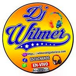DJ WILMER radio logo