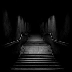 Dark Dubstep Radio Caprice logo