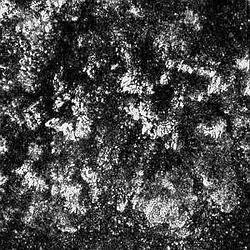 Harsh Noise Radio Caprice logo