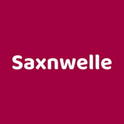 Saxnwelle radio logo