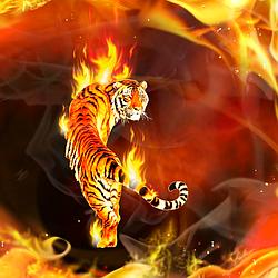Fire FM logo