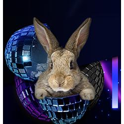Hitradio-Wittgenstein radio logo