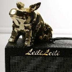 LeiliLeili radio logo