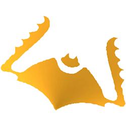 B4GG radio logo