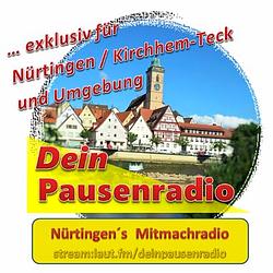 DeinPausenradio radio logo