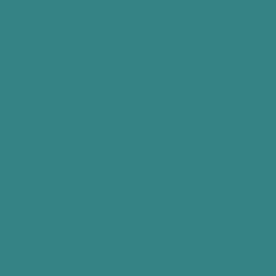 Starzz radio logo