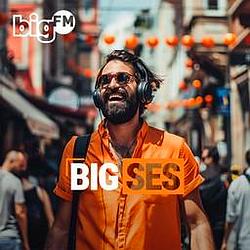 bigFM bigSES radio logo