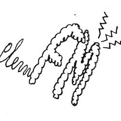 Plem FM logo