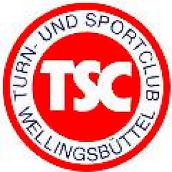 Welle 2 radio logo
