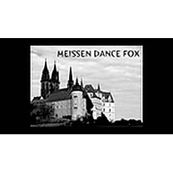 Meissen Dance Fox radio logo