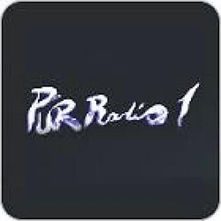 PurRadio1 radio logo