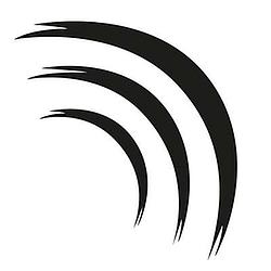 PIN FM logo