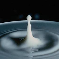 Milkdrop radio logo