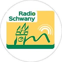 Schwany Radio 11 - Instrumental logo