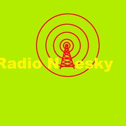 Radio Niesky logo