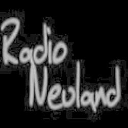 Radio Neuland logo