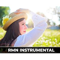 RMNradio - Instrumentalhits radio logo