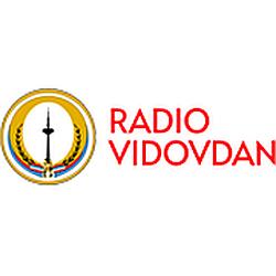 Radio Vidovdan logo