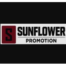 Sunflower Promotion Rock & Metal radio logo