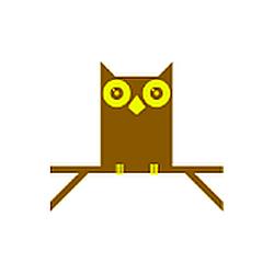 Night People Only radio logo