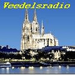 Veedelsradio radio logo