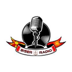 Biser Radio Orovnik logo