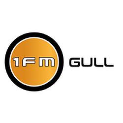 1FM Gull radio logo