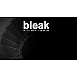 BleakRadio radio logo