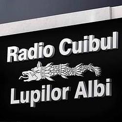 Radio Cuibul Lupilor Albi logo