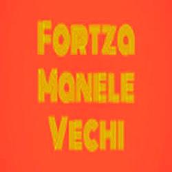 Radio Fortza Manele Vechi logo